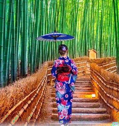 Arashiyama Bamboo Grove